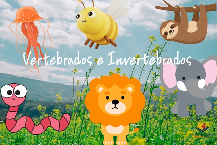 Animales vertebrados e invertebrados explicado para niños